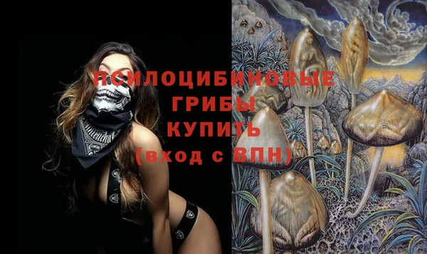 прущая мука Кукмор