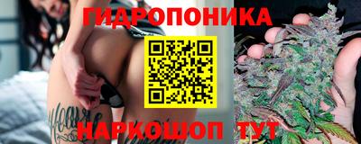 ГАЛЛЮЦИНОГЕННЫЕ ГРИБЫ Бийск