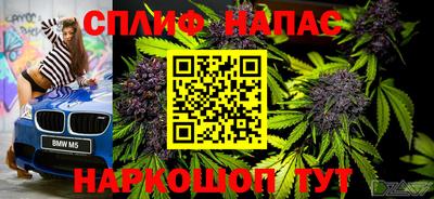 Альфа ПВП Беслан